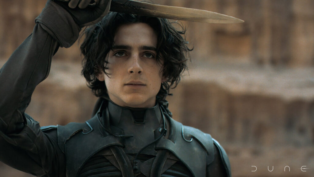 Dune star Timothée Chalamet avid gamer din Dune actor Timothée Chalamet